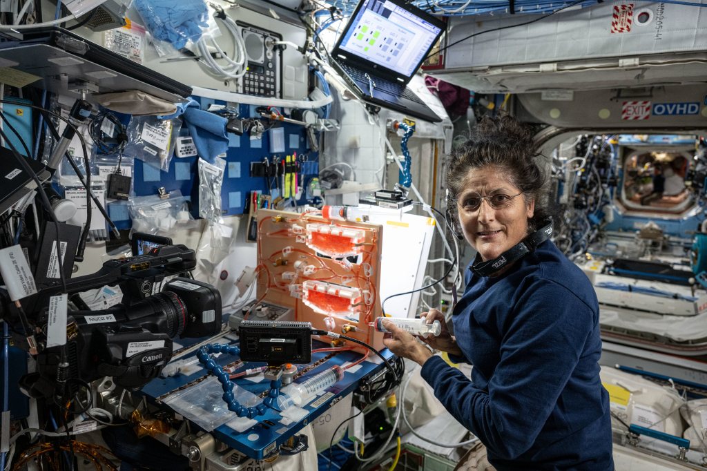 Williams, wearing a long-sleeved blue shirt and glasses, looks at the camera and holds a large plastic syringe in both hands. In front of her is a worktable holding a large orange panel that has two clear chambers of red liquid and multiple connecting hoses. A camera mounted on the worktable faces the panel.