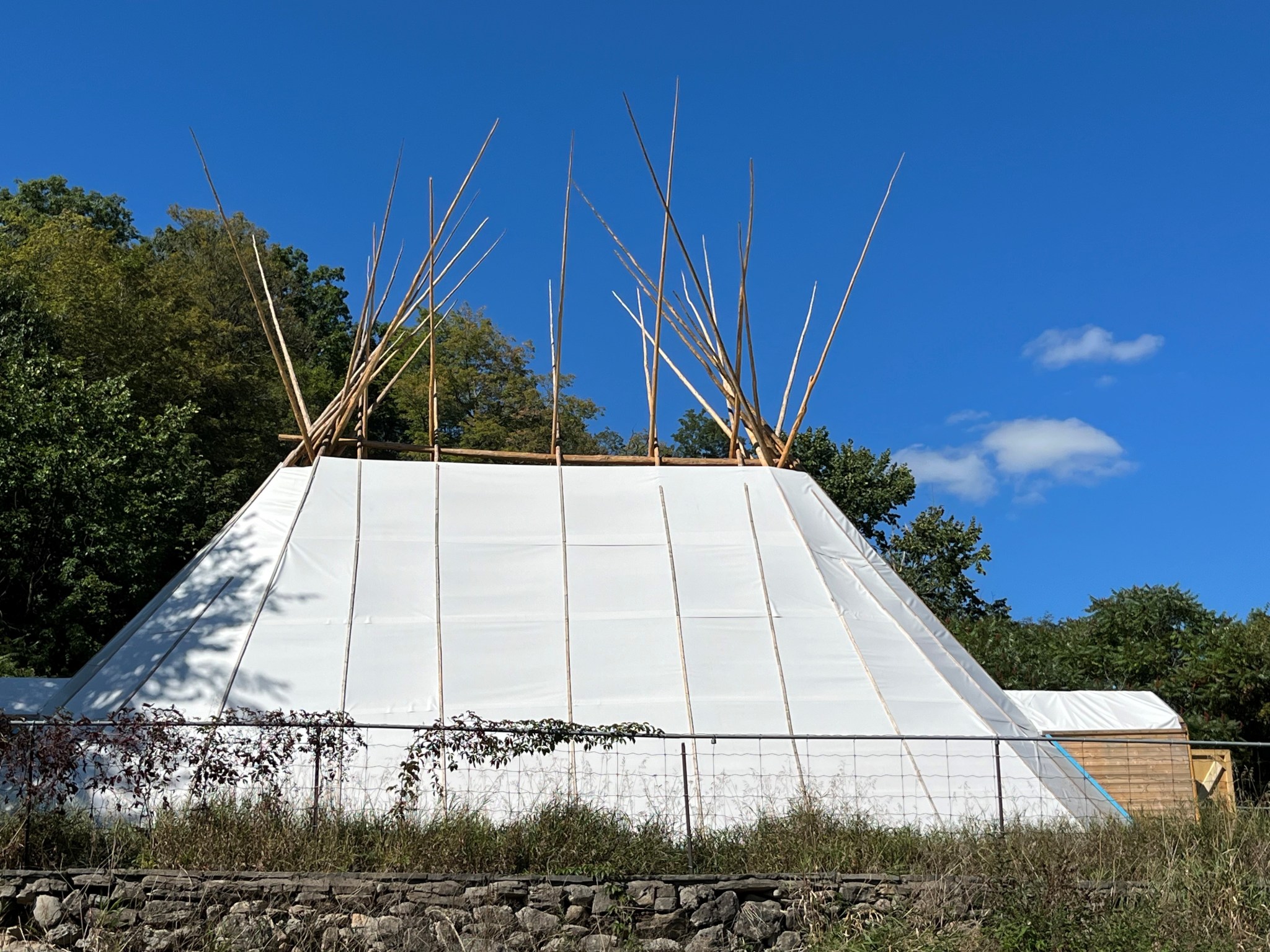 A rectangular lodging structure with a pitched roof sits on lush green grass. It is covered with tan tarp and has large wooden dowels protruding from the top in crisscrossed fashion. Tall trees are in the background to the left of the lodge. The lodge is under a clear blue sky with no sun and a few clouds.