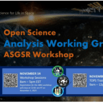 Image of the 2023 Analysis Working Group Workshop Flyer