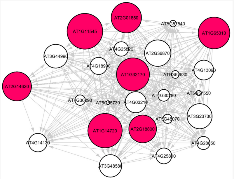 gene regulatory sub-graph