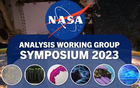 2023 Analysis Working Group Symposium flyer.