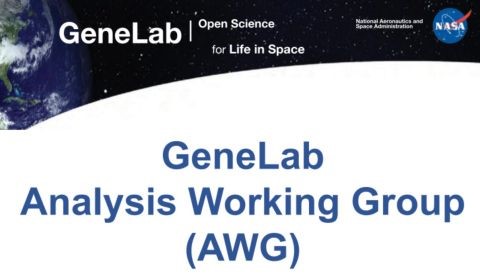 Analysis working group slide