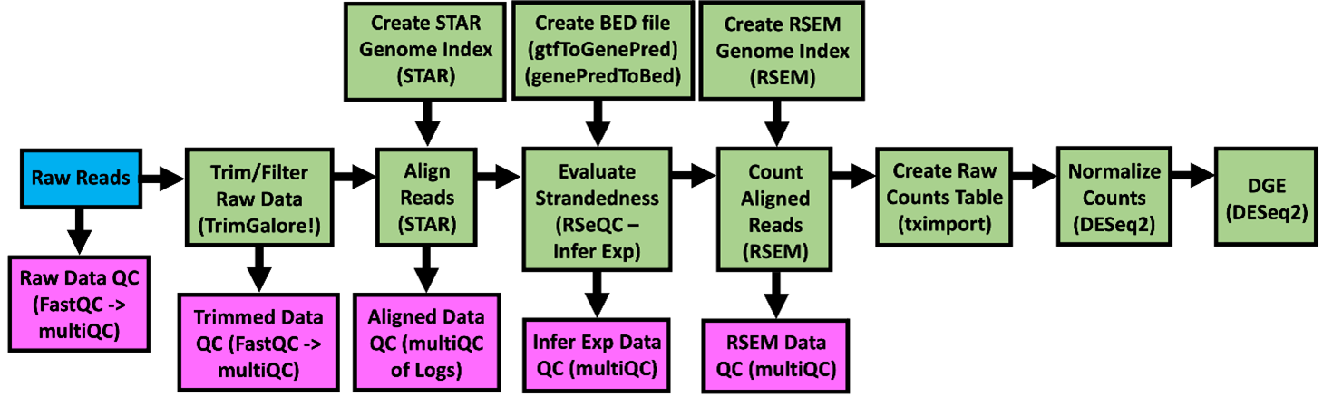 Image of the bulk RNA sequencing data processing pipeline.