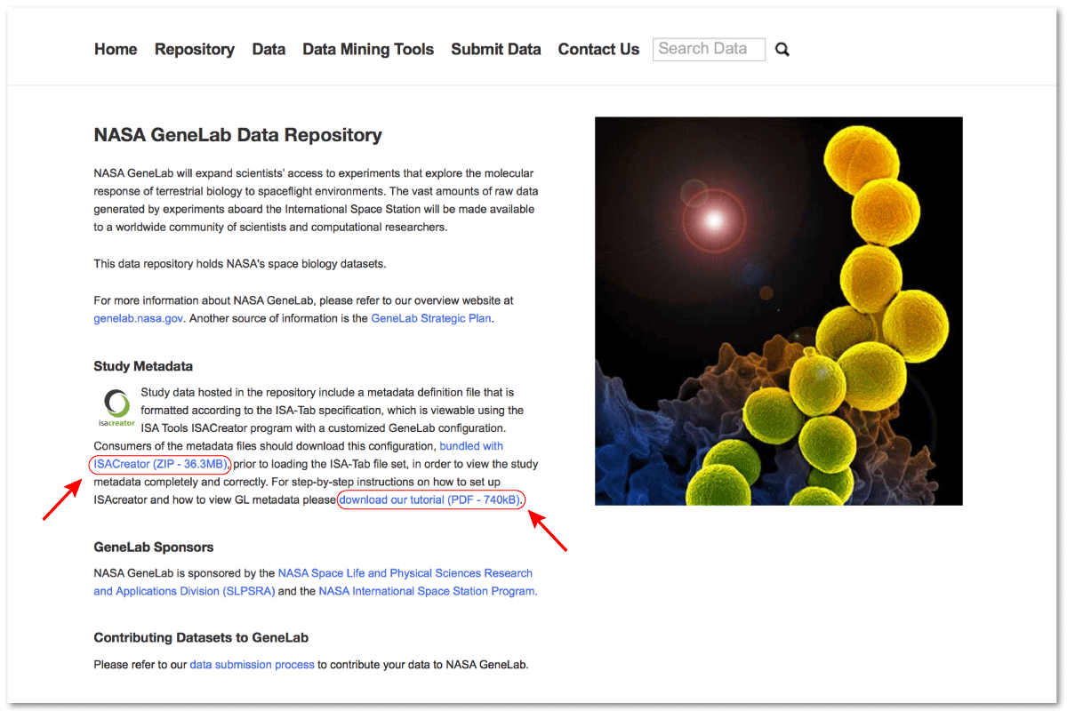 Image of the GeneLab Data Repository.