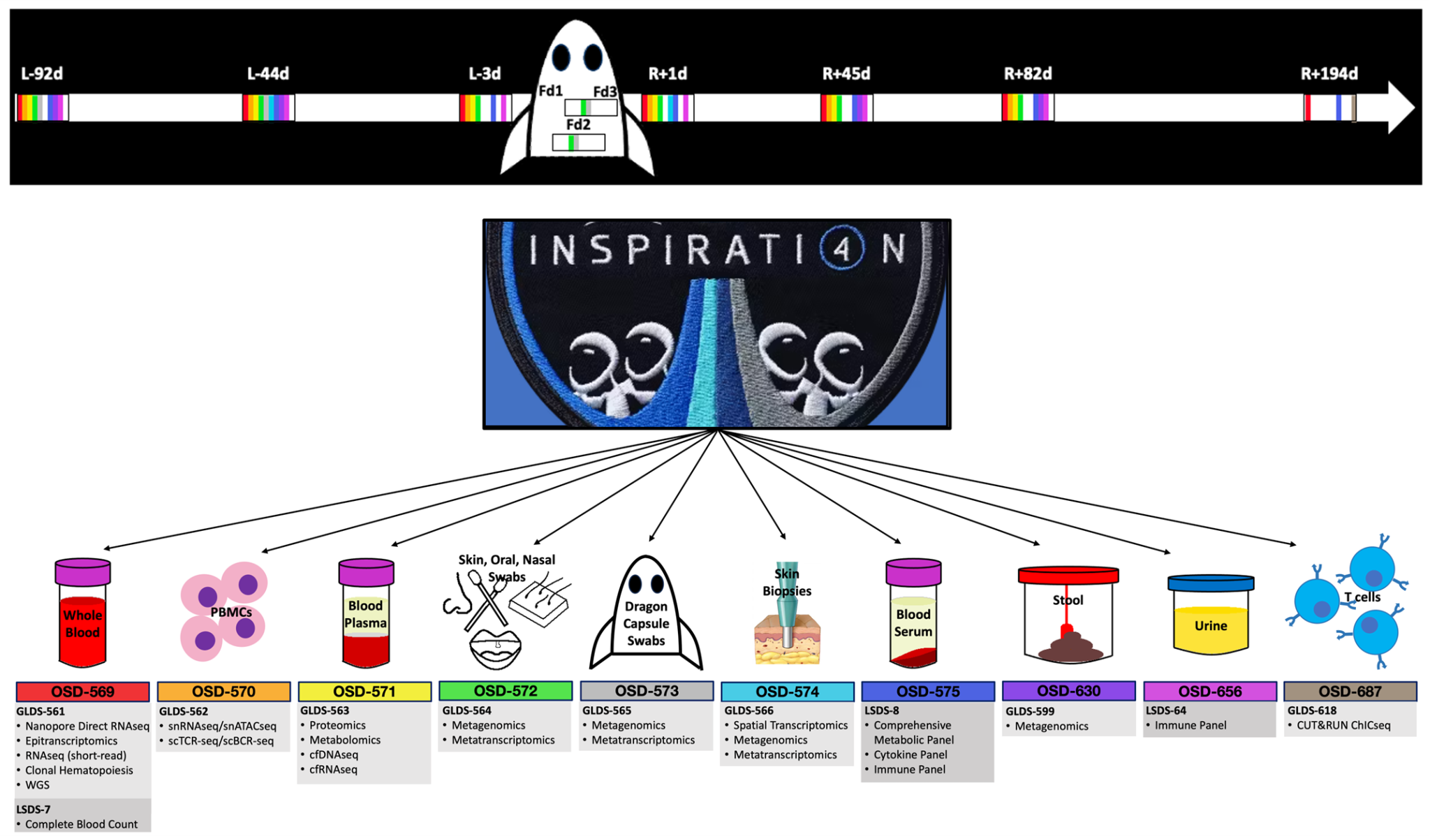 Graphic of the data collected during the Inspiration4 mission.