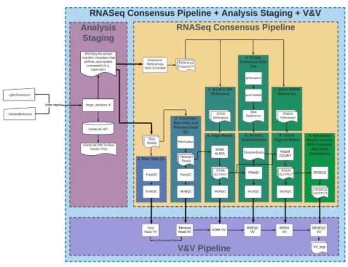 Image of the RNA sequencing workflow.