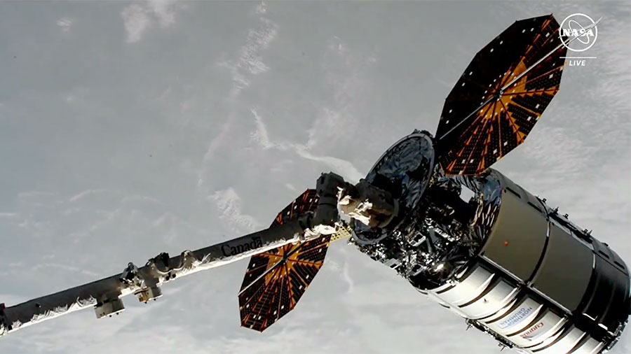 The Cygnus space freighter is pictured in the grips of the Canadarm2 robotic arm shortly after its capture delivering 8,200 pounds of science and supplies to the orbital outpost. Credit: NASA TV