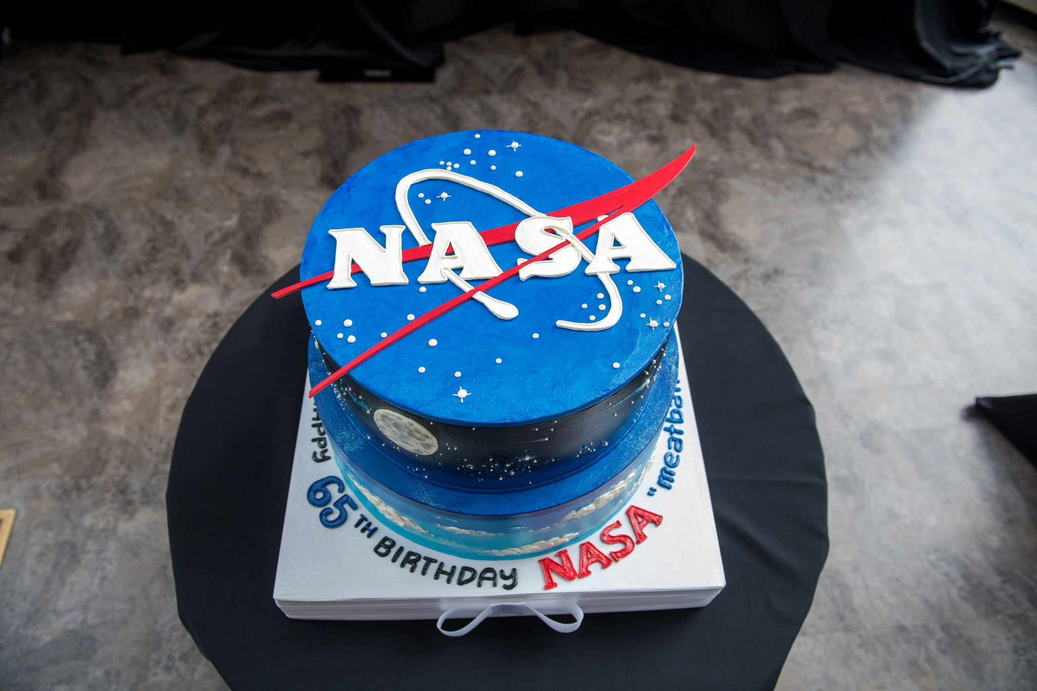 A cake with the NASA “meatball” logo, including all of its design elements.