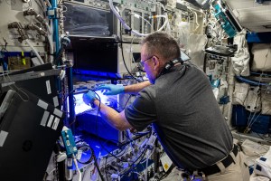 NASA astronaut and Boeing's Crew Flight Test Commander Butch Wilmore installs a light meter inside the Veggie space botany facility to obtain light measurements and adjust the light settings inside the plant research device. Veggie is located aboard the International Space Station's Columbus laboratory module and has grown lettuce, tomatoes, zinnias, and more aboard the orbital outpost.