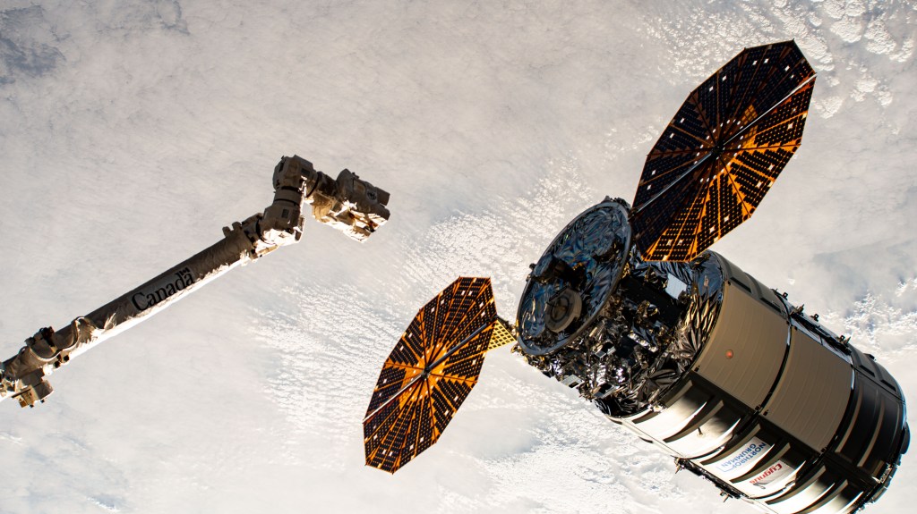 Northrop Grumman's Cygnus cargo craft, with its prominent cymbal-shaped UltraFlex solar arrays, is pictured awaiting its capture by the Canadarm2 robotic arm commanded by Expedition 71 Flight Engineer Matthew Dominick of NASA. The maneuver marked the 50th free-flying capture for the Canadarm2 robotic arm.