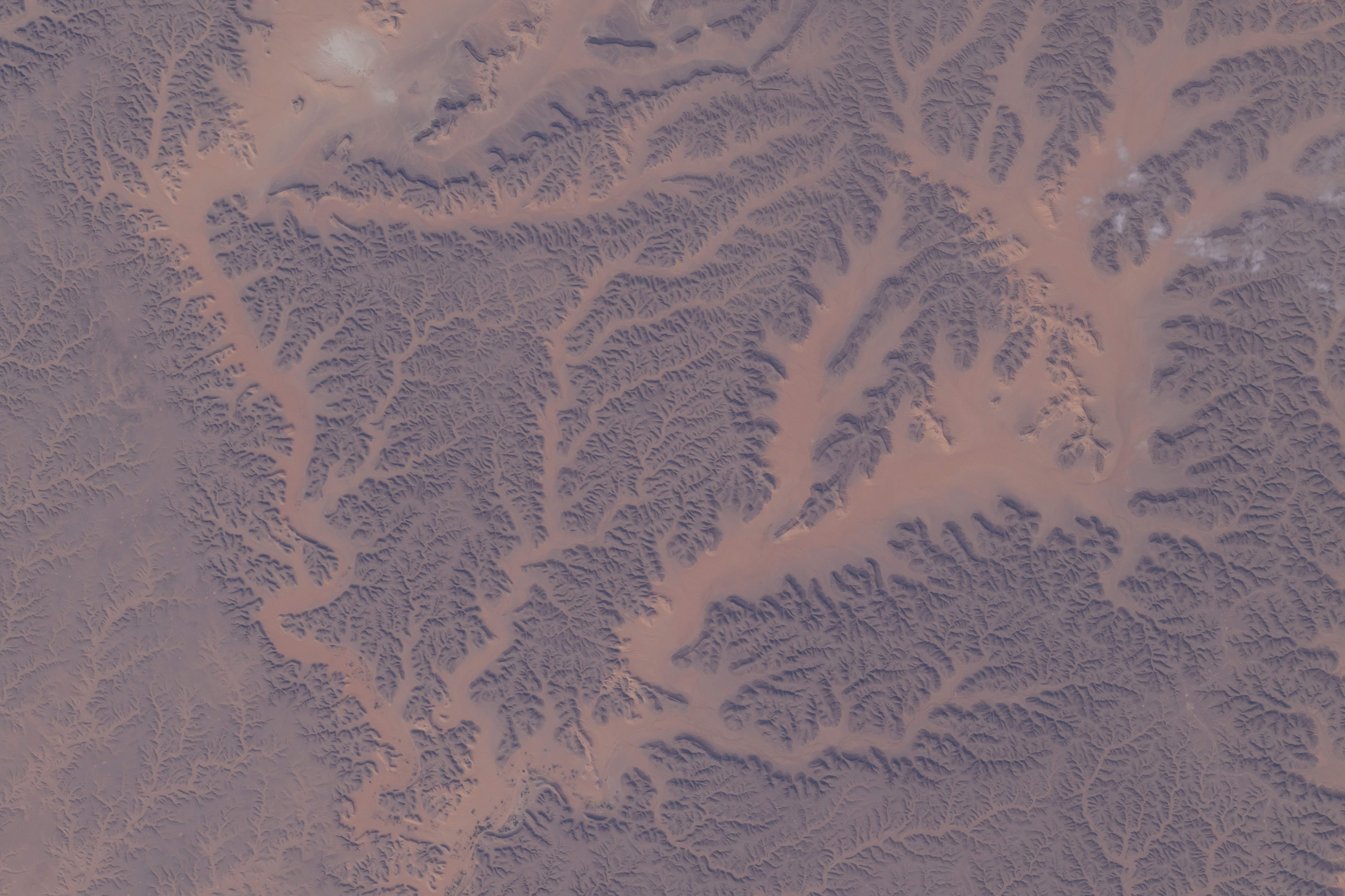 Dry watercourses, also known as wadis, in Algeria's Ghardaia Province are pictured from the International Space Station as it orbited 262 miles above the African nation.