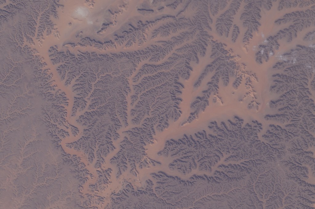 Dry watercourses, also known as wadis, in Algeria's Ghardaia Province are pictured from the International Space Station as it orbited 262 miles above the African nation.