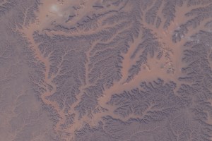 Dry watercourses, also known as wadis, in Algeria's Ghardaia Province are pictured from the International Space Station as it orbited 262 miles above the African nation.