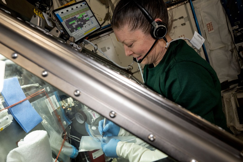 NASA astronaut and Expedition 71 Flight Engineer Tracy C. Dyson cleans the inside of the Life Science Glovebox located aboard the International Space Station's Kibo laboratory. Dyson had earlier completed stem cell research operations exploring ways to advance cellular manufacturing and improve human health.