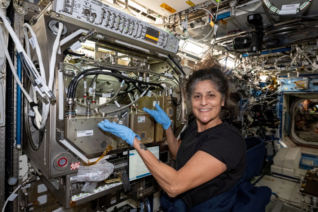 Williams, wearing a black t-shirt and blue latex gloves, smiles at the camera and gestures toward hardware for the experiment. To her left are several metal boxes across the bottom with multiple black and silver hoses and cords attaching the boxes to the hardware. There is a white control panel across the top with multiple labels and switches.