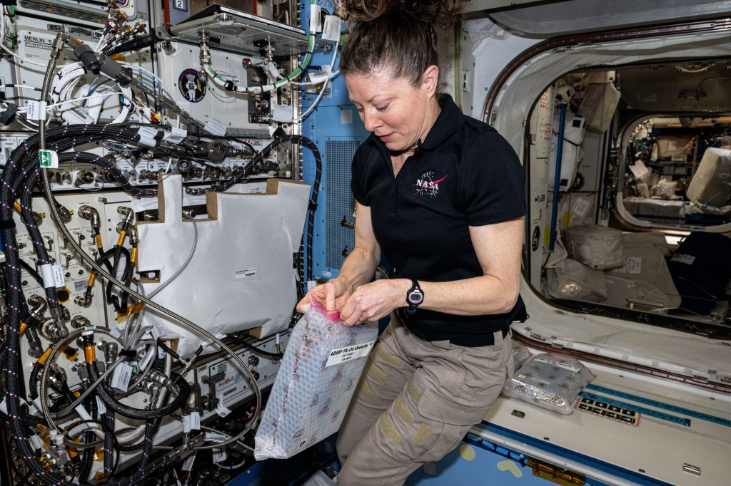 NASA astronaut and Expedition 71 Flight Engineer Tracy C. Dyson swaps out sample processors for the Pharmaceutical In-space Laboratory experiment that is exploring the production and manufacturing of medicines to benefit astronauts in space and humans on Earth. The processors were installed in the Advanced Space Experiment Processor, or ADSEP, that can process a variety of research samples and be delivered to the International Space Station and returned to Earth aboard the SpaceX Dragon cargo craft.