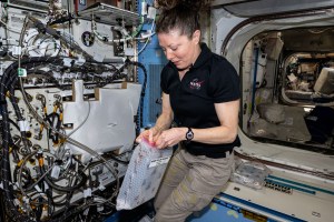 NASA astronaut and Expedition 71 Flight Engineer Tracy C. Dyson swaps out sample processors for the Pharmaceutical In-space Laboratory experiment that is exploring the production and manufacturing of medicines to benefit astronauts in space and humans on Earth. The processors were installed in the Advanced Space Experiment Processor, or ADSEP, that can process a variety of research samples and be delivered to the International Space Station and returned to Earth aboard the SpaceX Dragon cargo craft.