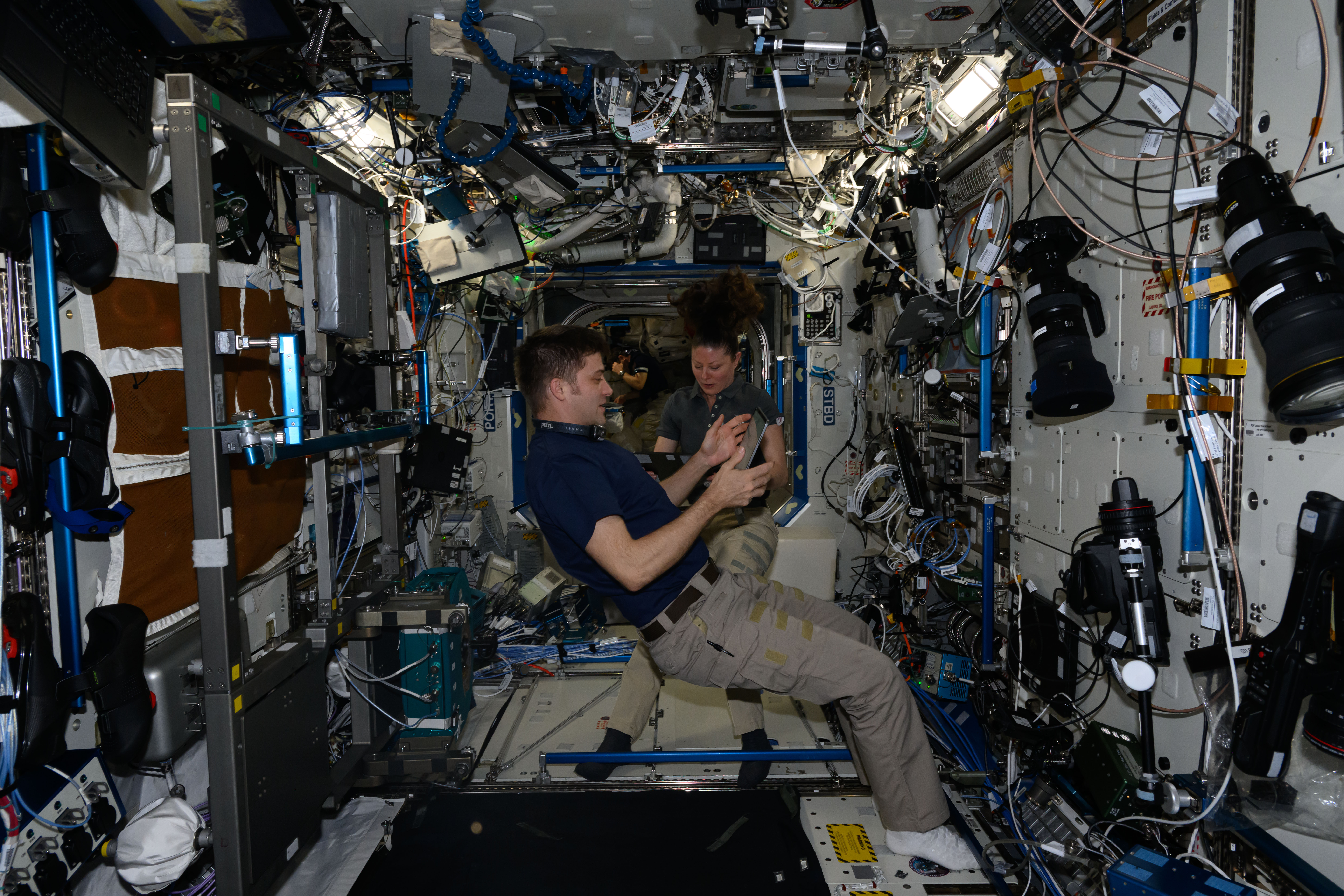 iss071e547737 (Aug. 14, 2024) --- NASA astronauts Matthew Dominick and Tracy C. Dyson, both Expedition 71 Flight Engineers, review maintenance procedures on computer tablets inside the International Space Station's Destiny laboratory module.