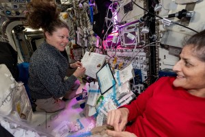 NASA astronauts (from left) Tracy C. Dyson and Suni Williams update emergency procedure manuals aboard the International Space Station's Columbus laboratory module.