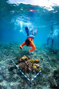 A female high schooler in a bright orange long sleeve shirt, blue leggings, and snorkeling equipment holds a small camera up to a reef made up of various shades of brown, orange, yellow, and red. A PCV square painted in black and white stripes cordons of the small reef, and the rest of the sea floor fades into the blue of the water in the distance.