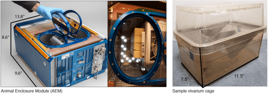 animal enclosure module and sample cage