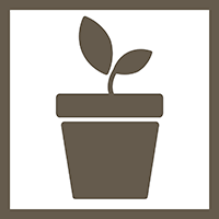 potted plant icon