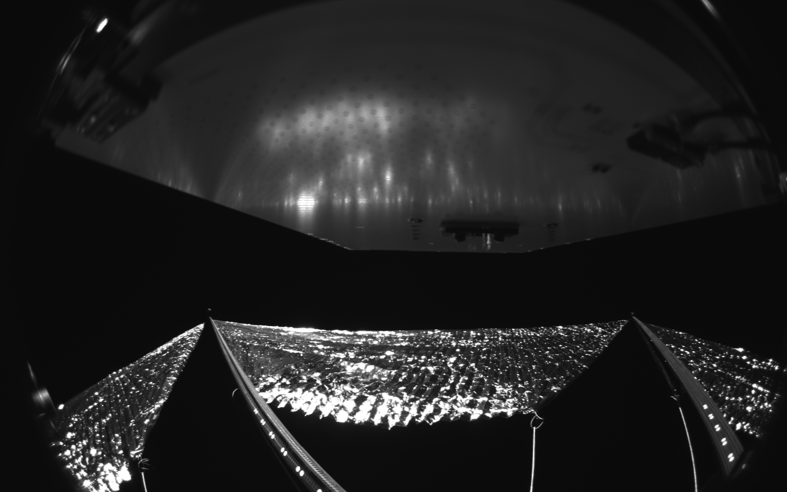 CamC_Seq121