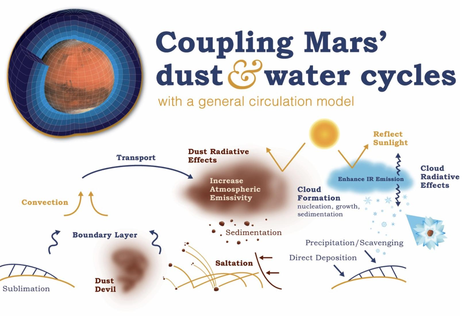 Cloud Microphysics model