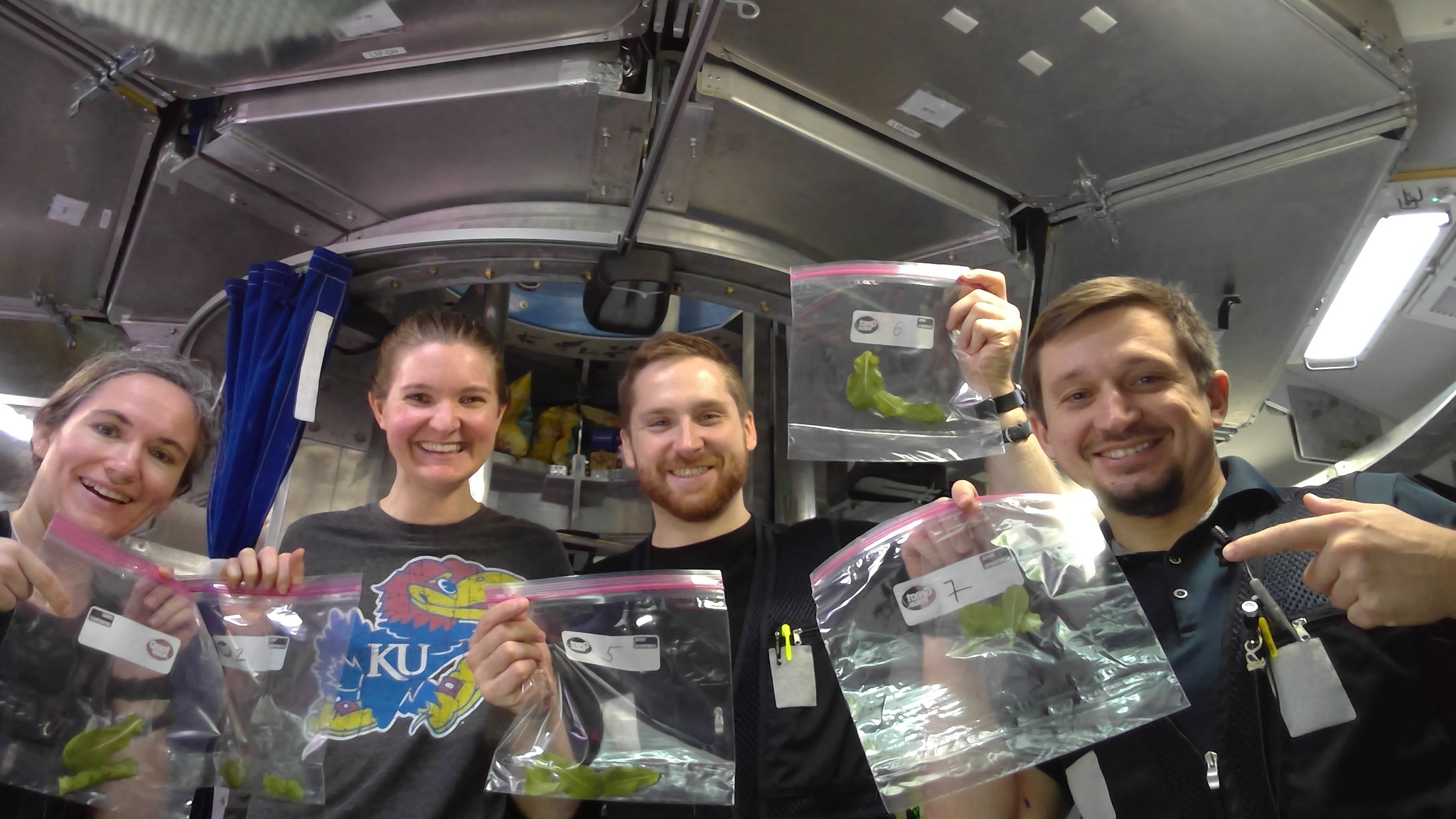 Four individuals smile while holding clear plastic bags with leafy green samples inside HERA.