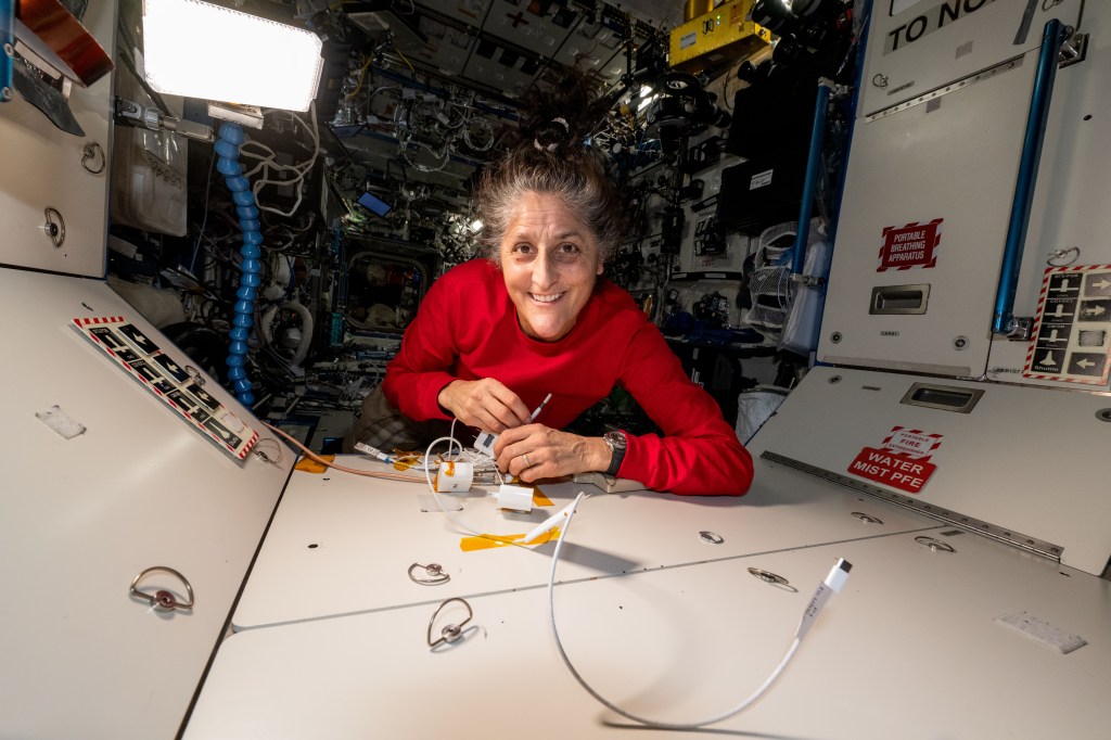 NASA astronaut Suni Williams configures portable electronics gear aboard the International Space Station's Destiny laboratory module.