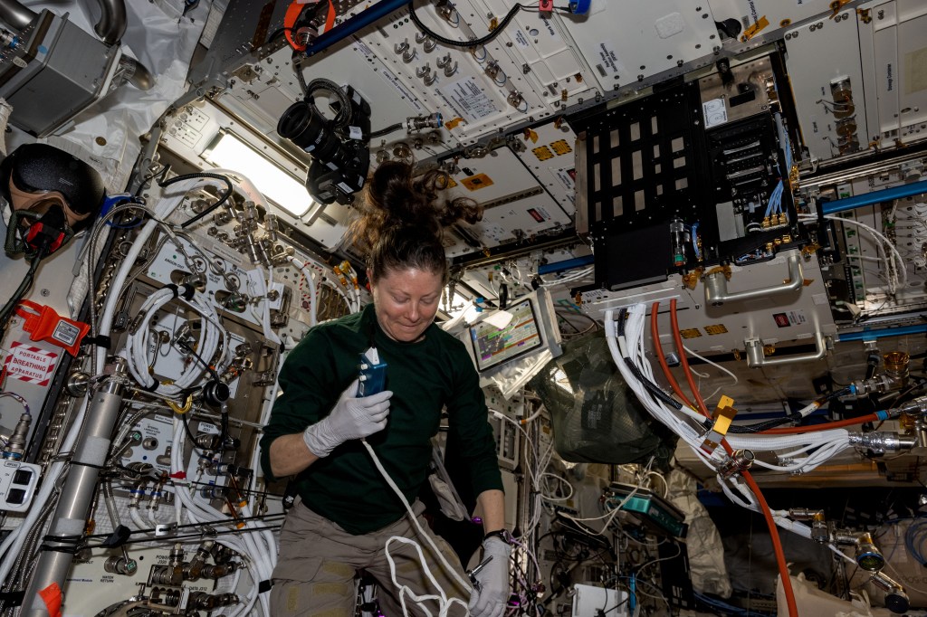 NASA astronaut and Expedition 71 Flight Engineer Tracy C. Dyson conducts research maintenance on the Fluids Science Laboratory including removing samples from the Soft Matter Dynamics experiment. The space physics investigation is exploring how microgravity affects foams and emulsions potentially benefitting a variety of Earth and space industries such as fire safety, pharmaceuticals, food, and more.