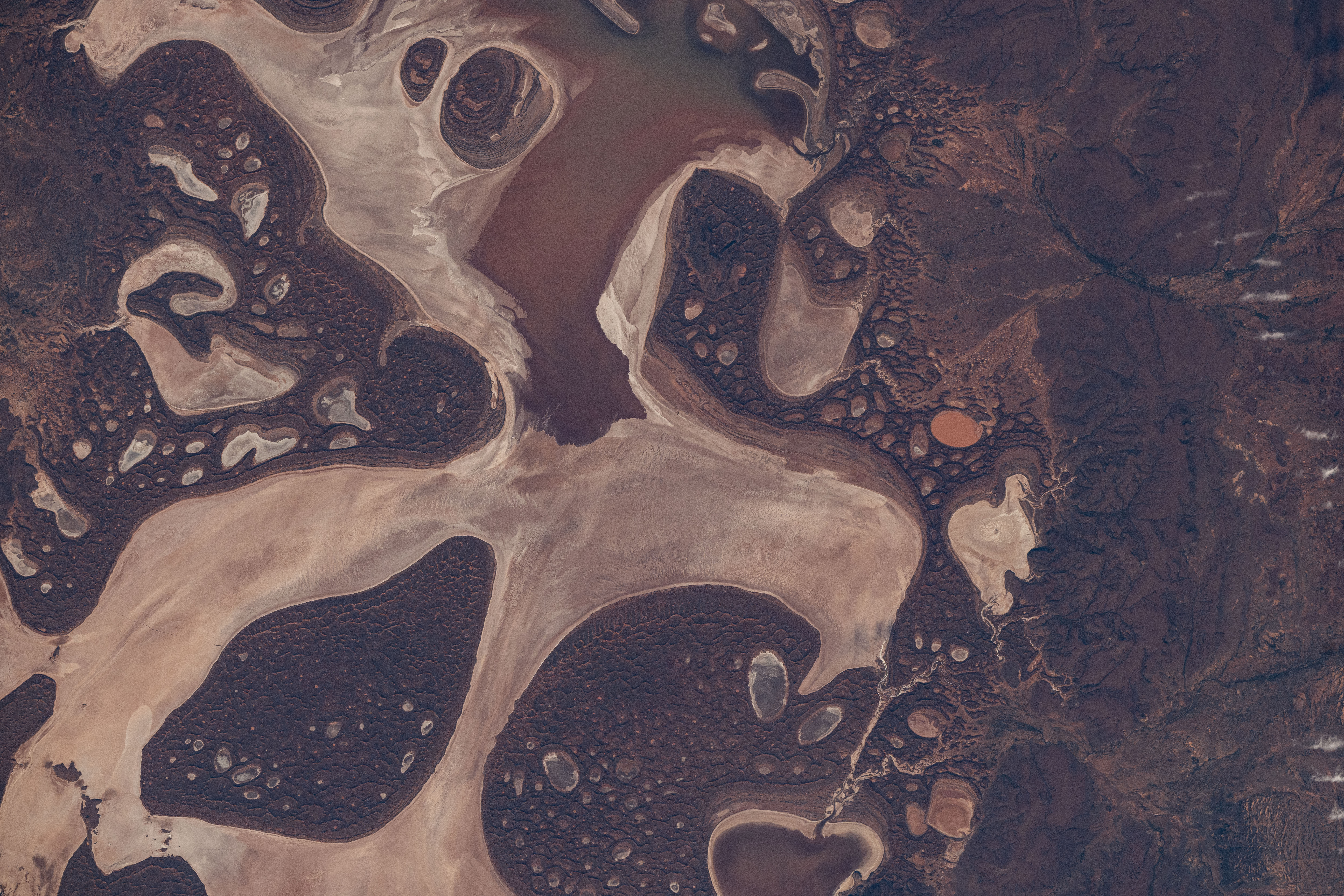 iss071e615200 (Sept. 9, 2024) -- The ephemeral Lake Carnegie, one of Western Australia's largest lakes, displays its mixture of water and mud as the International Space Station orbited 263 miles above. The lake fills with water only during periods of heavy rainfall, while in dry years, the lake is mostly a muddy marsh.