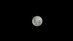 iss072e097437 (Oct. 18, 2024) -- October's full moon, known as "The Hunter's Moon," is pictured from the International Space Station as it orbited 273 miles above the South Pacific Ocean.