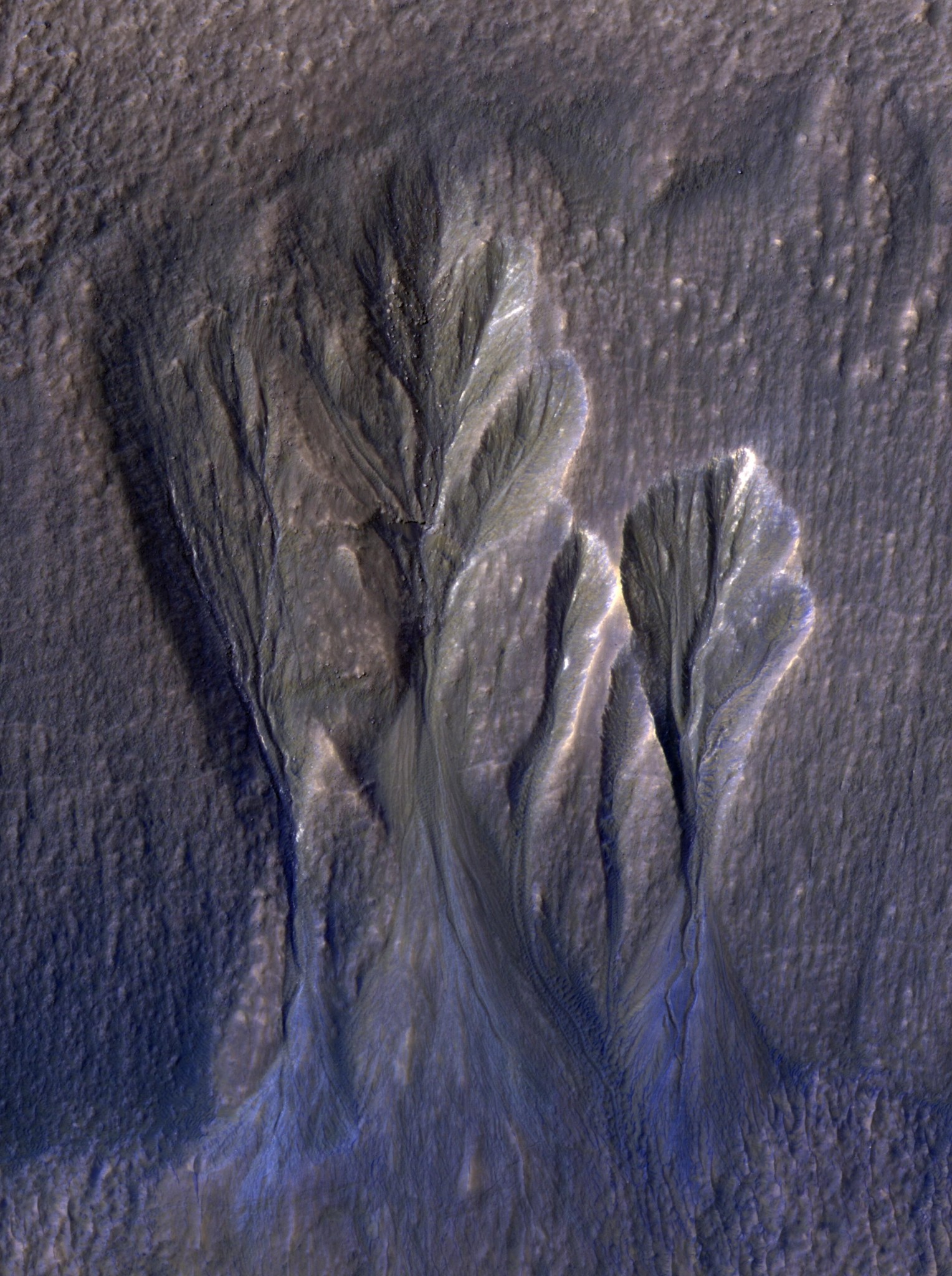 The white edges along these gullies in Mars’ Terra Sirenum are believed to be dusty water ice