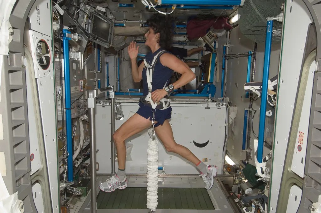 ISS032-E-011701 (4 Aug. 2012) — NASA astronaut Sunita Williams, Expedition 32 flight engineer, equipped with a bungee harness, exercises on the Combined Operational Load Bearing External Resistance Treadmill (COLBERT) in the Tranquility node of the International Space Station.