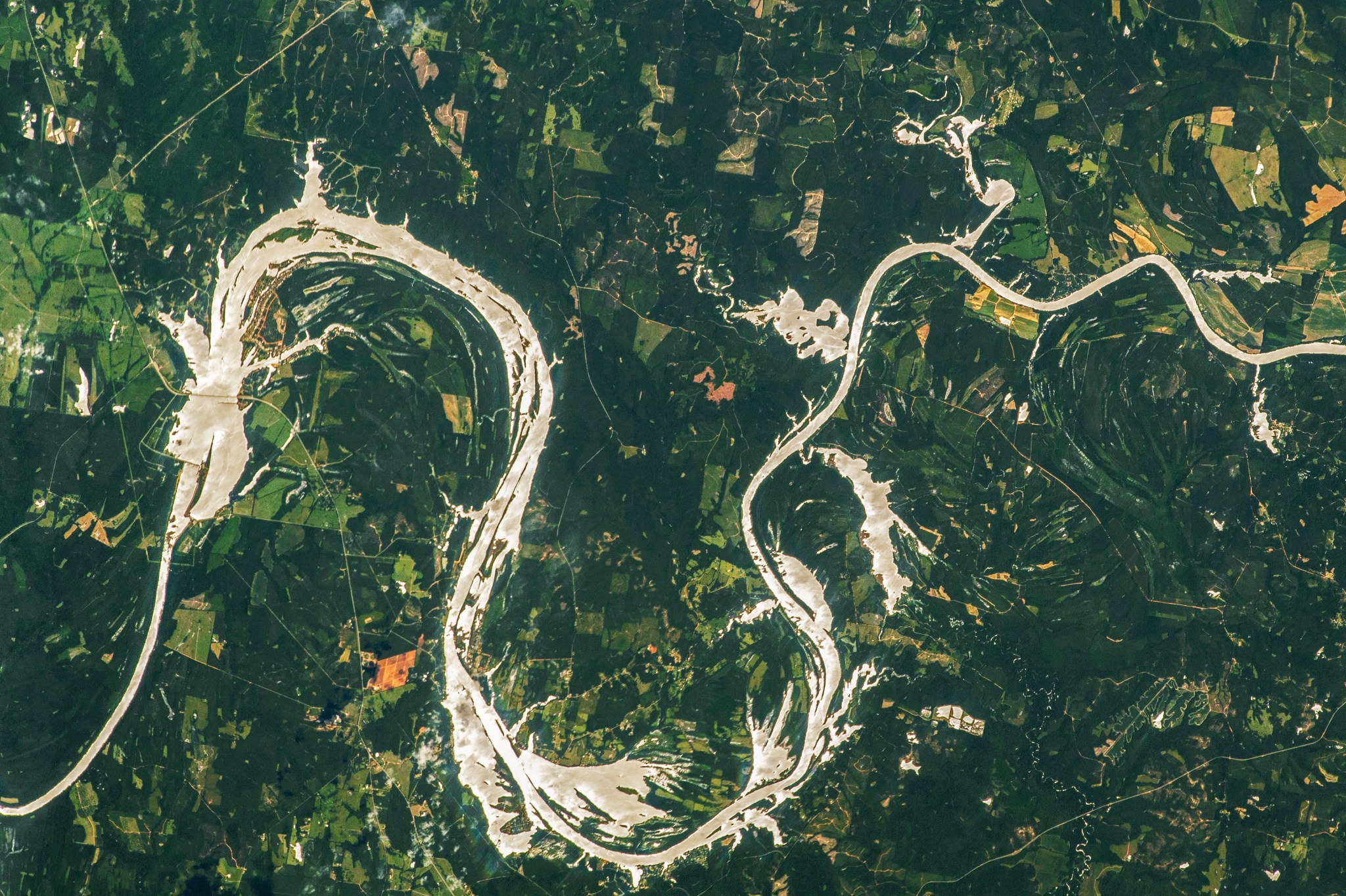The silvery waters of the Alabama River meander across the image, contrasted against surrounding land in shades of green. At various points, the water extends outward from the borders of the river.