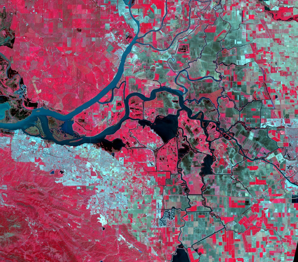A view from Landsat of California’s Sacramento-San Joaquin River Delta. Red and Green colors represent vegetation in the area.