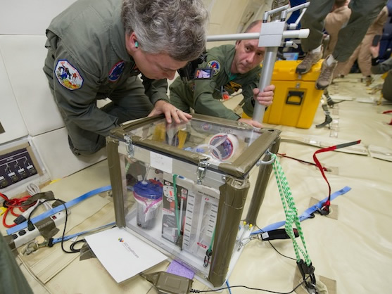 Testing function of the Medical Chest Drainage System during a zero-gravity parabola.