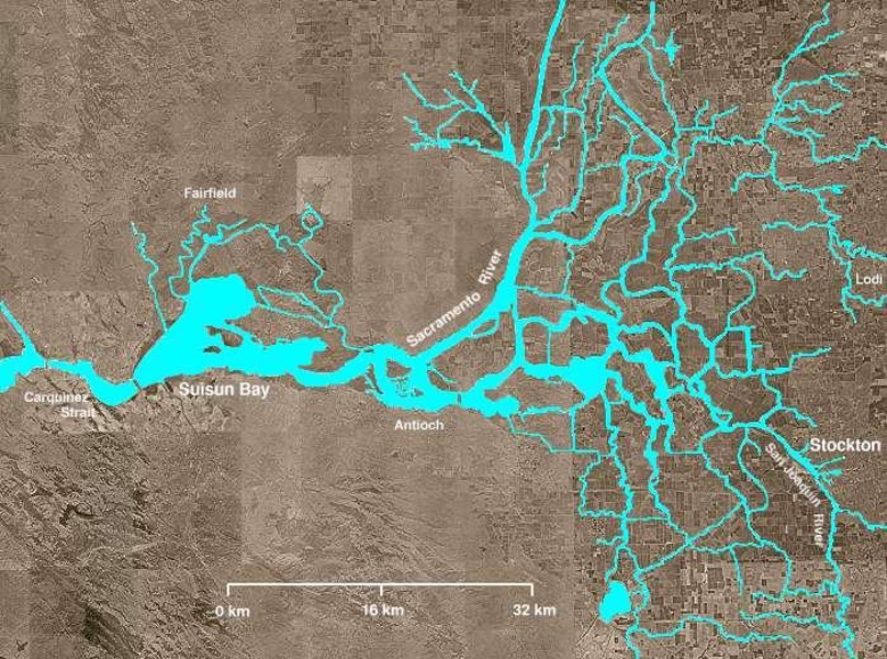 A satellite image shows a flat brown area of land, with a river that goes from left to right and splits into many tributaries that make it look like branches coming off a tree. The river has been colored in a bright teal.