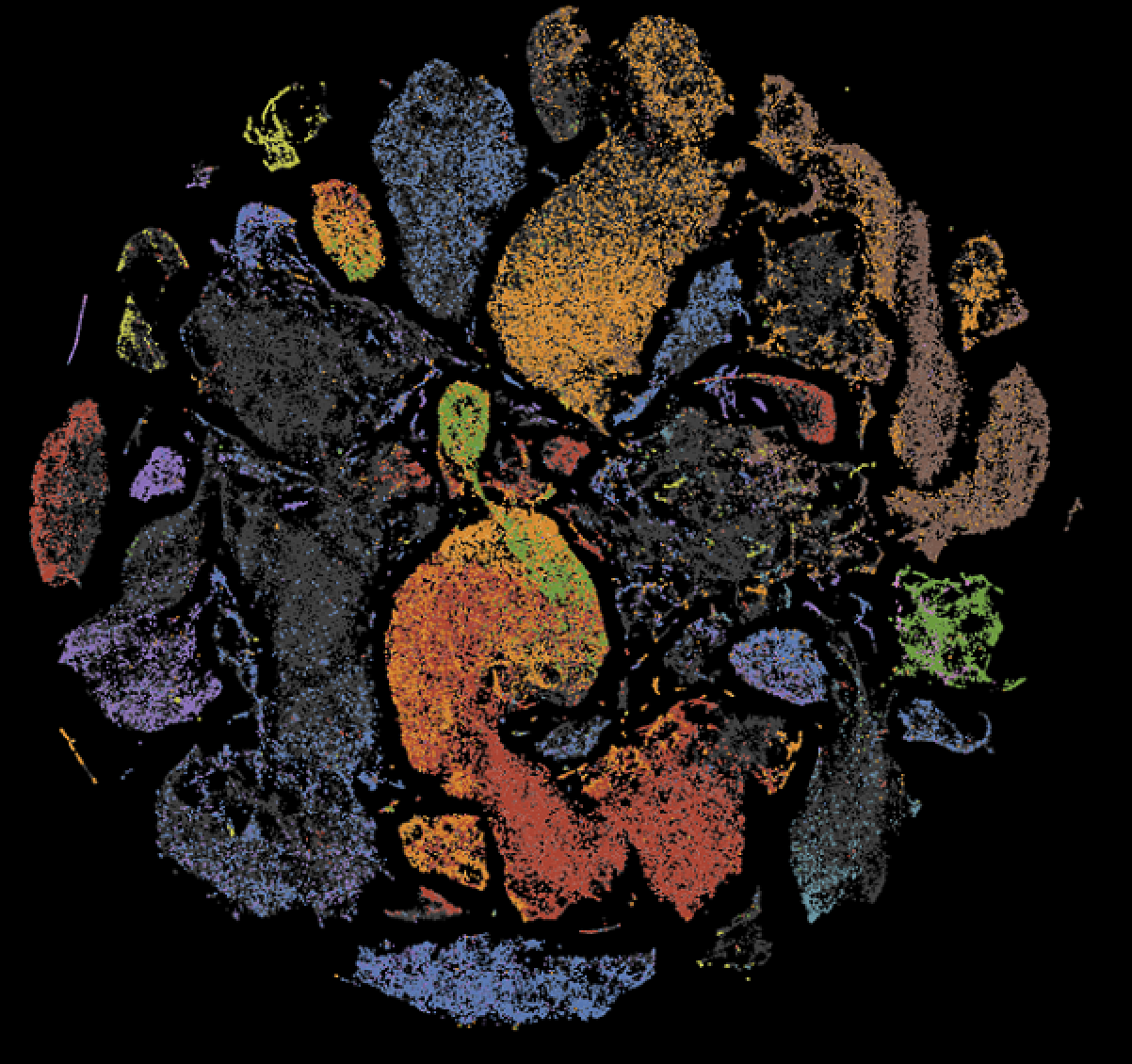 Bone cells NASA/Eduardo Almeida and Cassie Juran