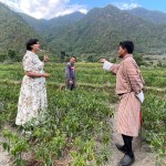 Two people stand in a chili field in Punakha, Bhutan.