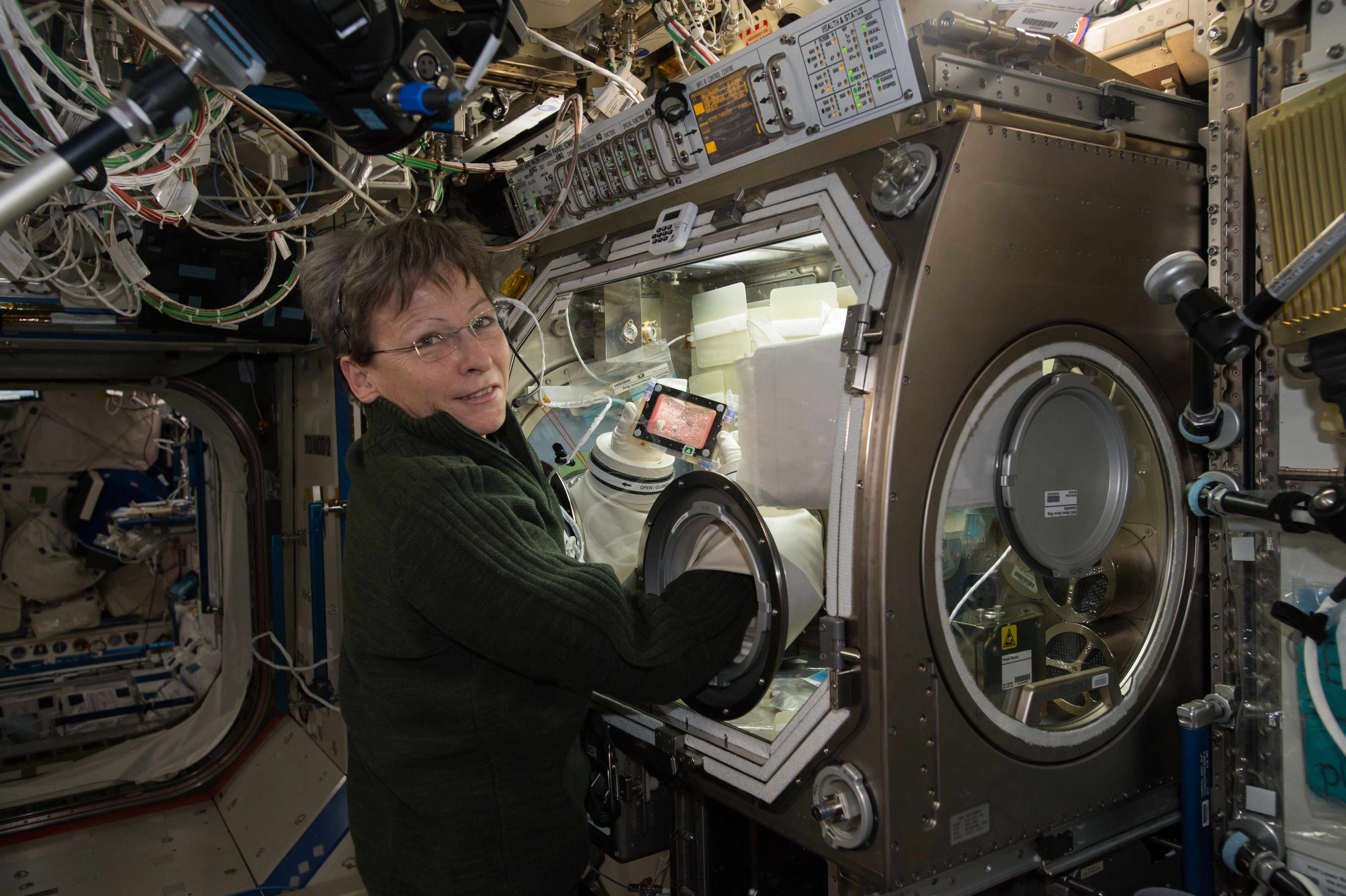 Space Researcher NASA Internship Programs - NASA