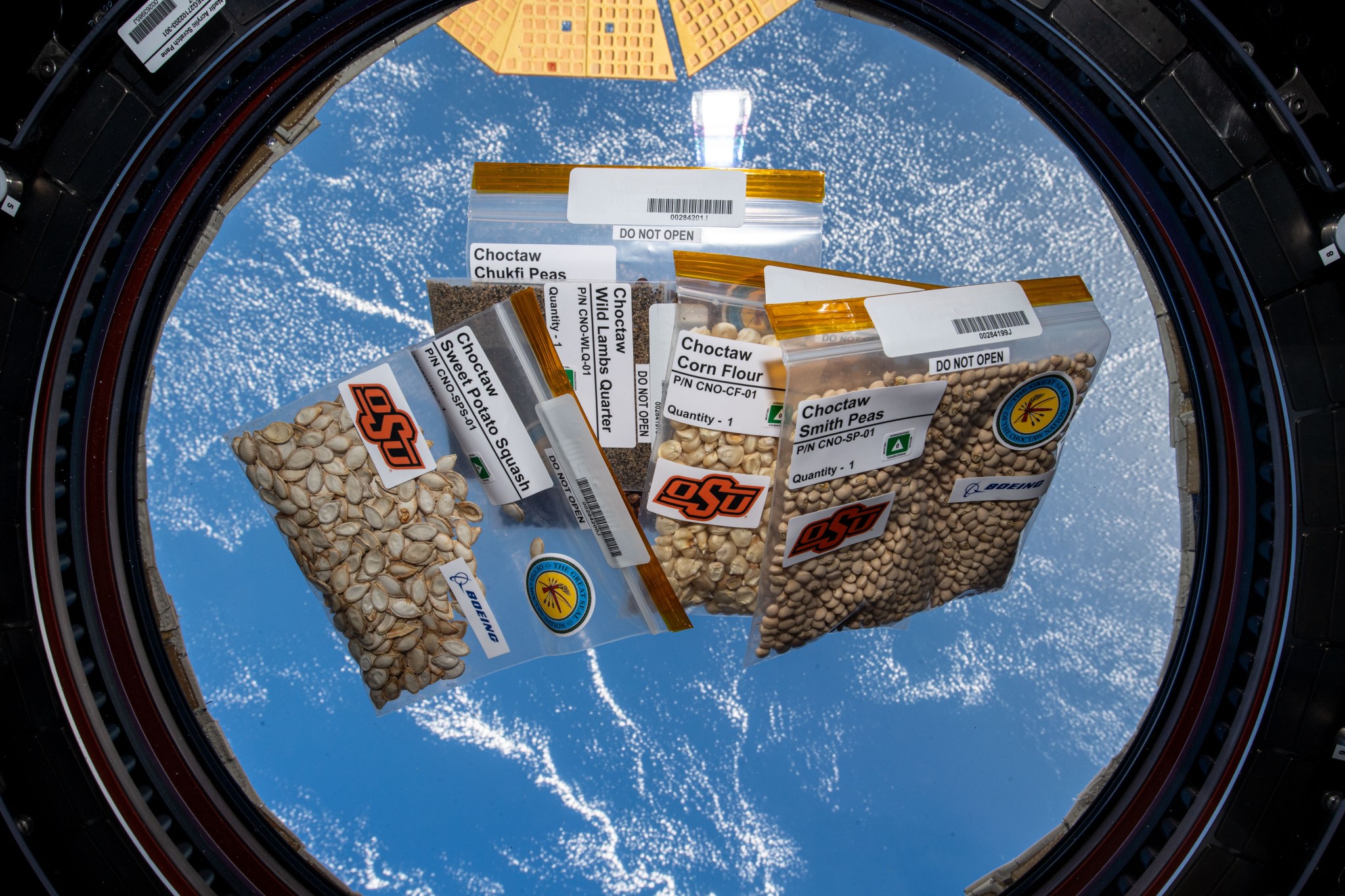 Five plastic bags of different seeds are inside the cupola of the International Space Station, Earth can be seen through the cupola window.