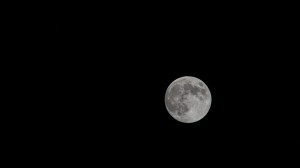 iss072e188790 (Nov. 15, 2024) -- November's full moon, also known as the "Beaver Moon," is pictured against the black of space from the International Space Station as it orbited 270 miles above Earth.