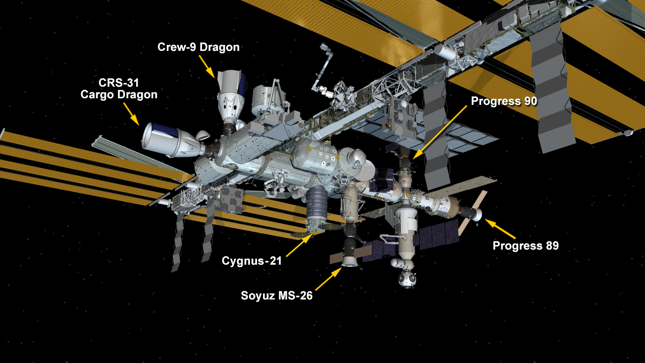International Space Station Configuration. Six spaceships are parked at the space station including the SpaceX Dragon Freedom, the SpaceX Dragon cargo spacecraft, the Northrop Grumman Cygnus resupply ship, the Soyuz MS-26 crew ship, and the Progress 89 and 90 resupply ships.