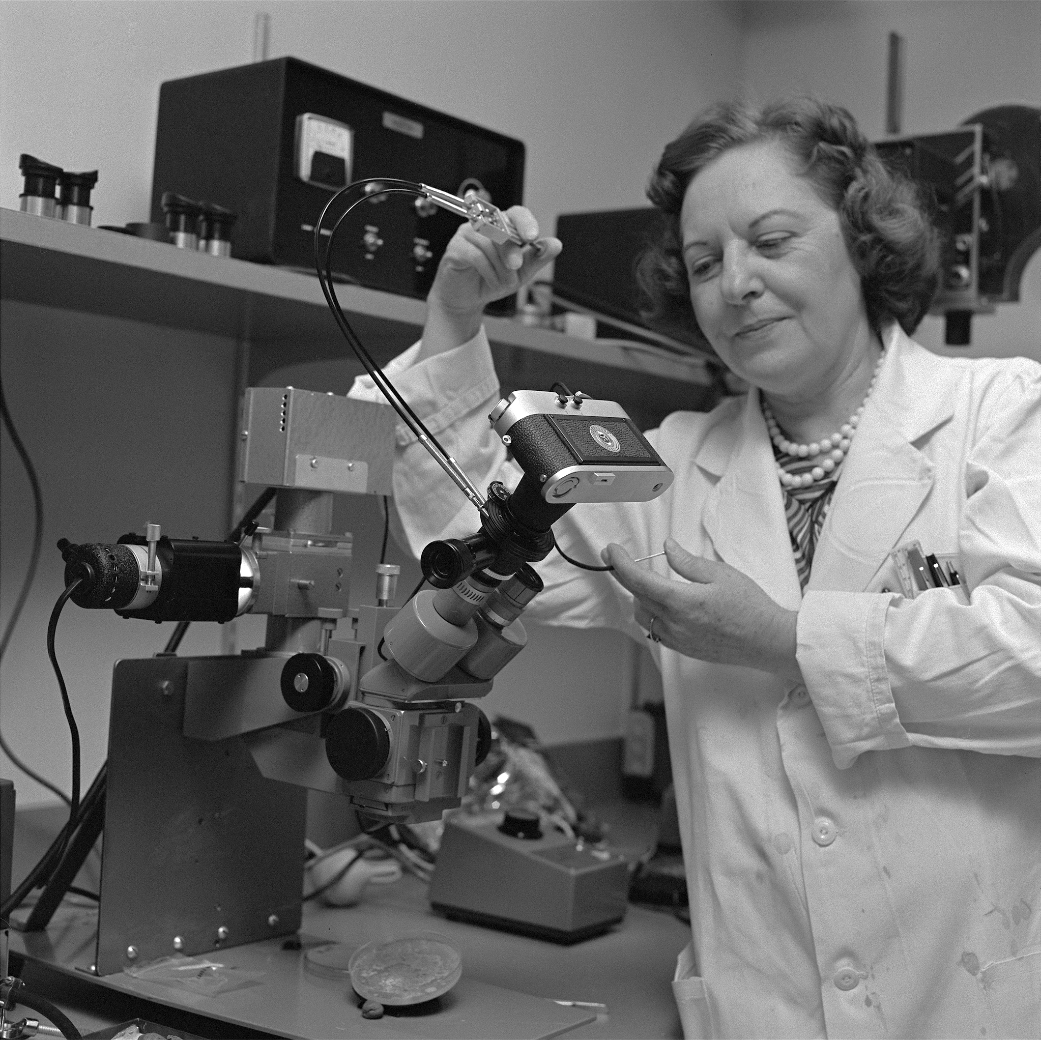 Sally Craig takes a photograph through a microscope.