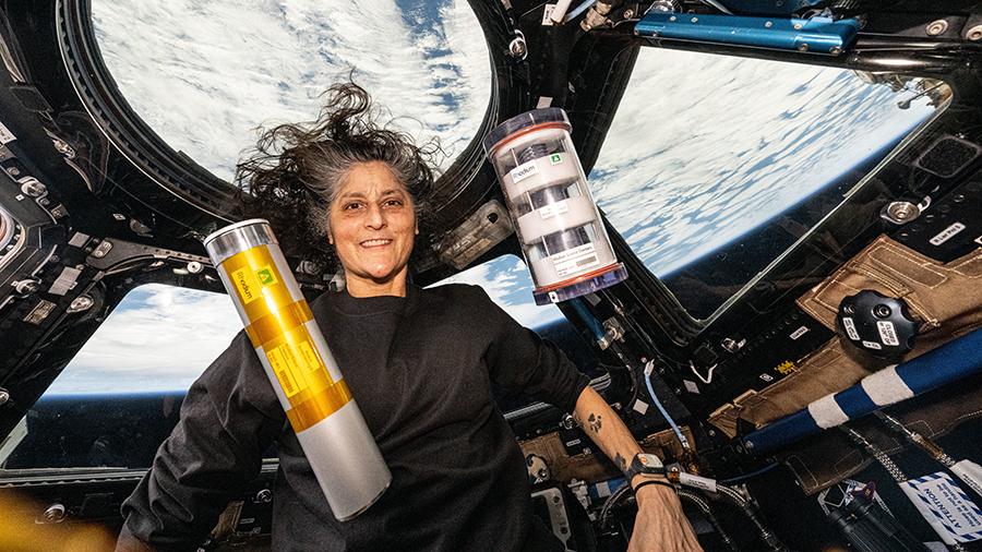 Astronaut Suni Williams displays science hardware housing bacteria and yeast samples for a biomanufacturing experiment that may enable the production of food and medicine in space.