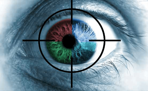 COBRA eye motion analysis tool