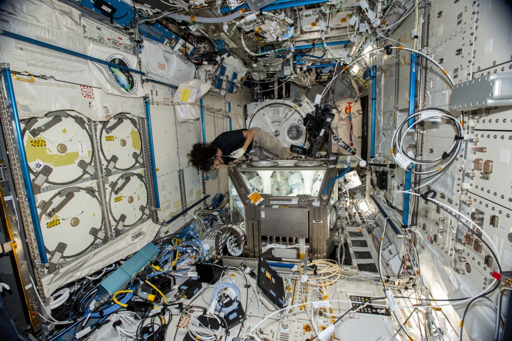 A view from above shows Williams, wearing a black t-shirt, khaki pants, and white latex gloves, floating next to the Life Sciences Glovebox. The box, the size of a dorm refrigerator, has a silver metal base and glass sides above it. There are arm holes on its top and white sleeves visible inside of it.
