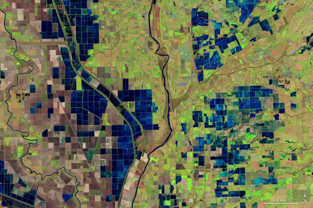 This is a false-color image, acquired December 26, 2018, with the OLI (Operational Land Imager) on Landsat 8, and shows flooded rice fields along the Sacramento and Feather Rivers. Inundated fields appear dark blue; vegetation is bright green.